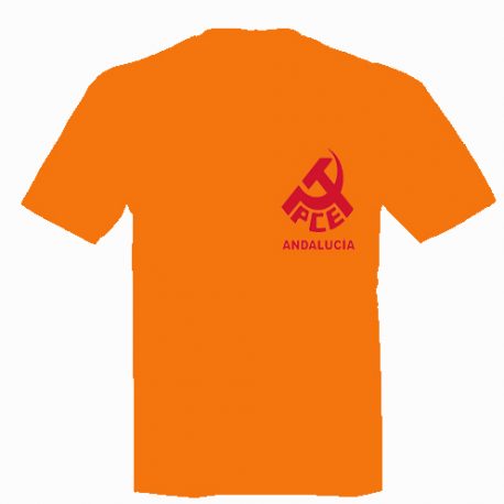 Camiseta-naranja PCA pequeñito